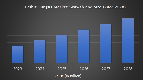 Edible Fungus Market